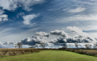 Landscape WorldLegacy