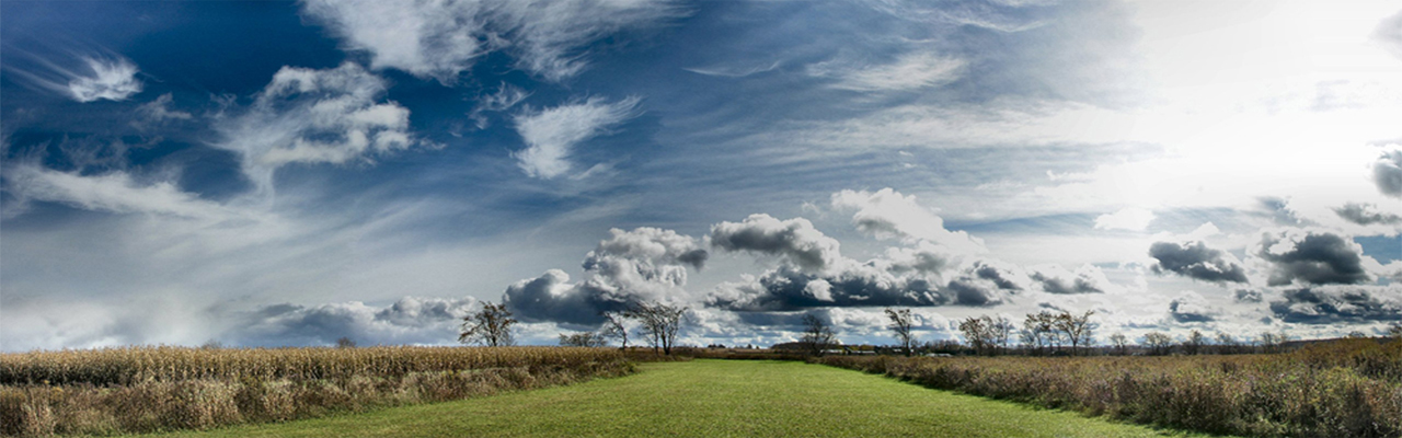 Landscape WorldLegacy