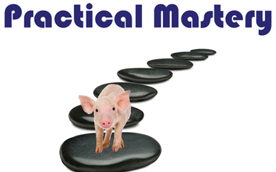 Practical Mastery WorldLegacy
